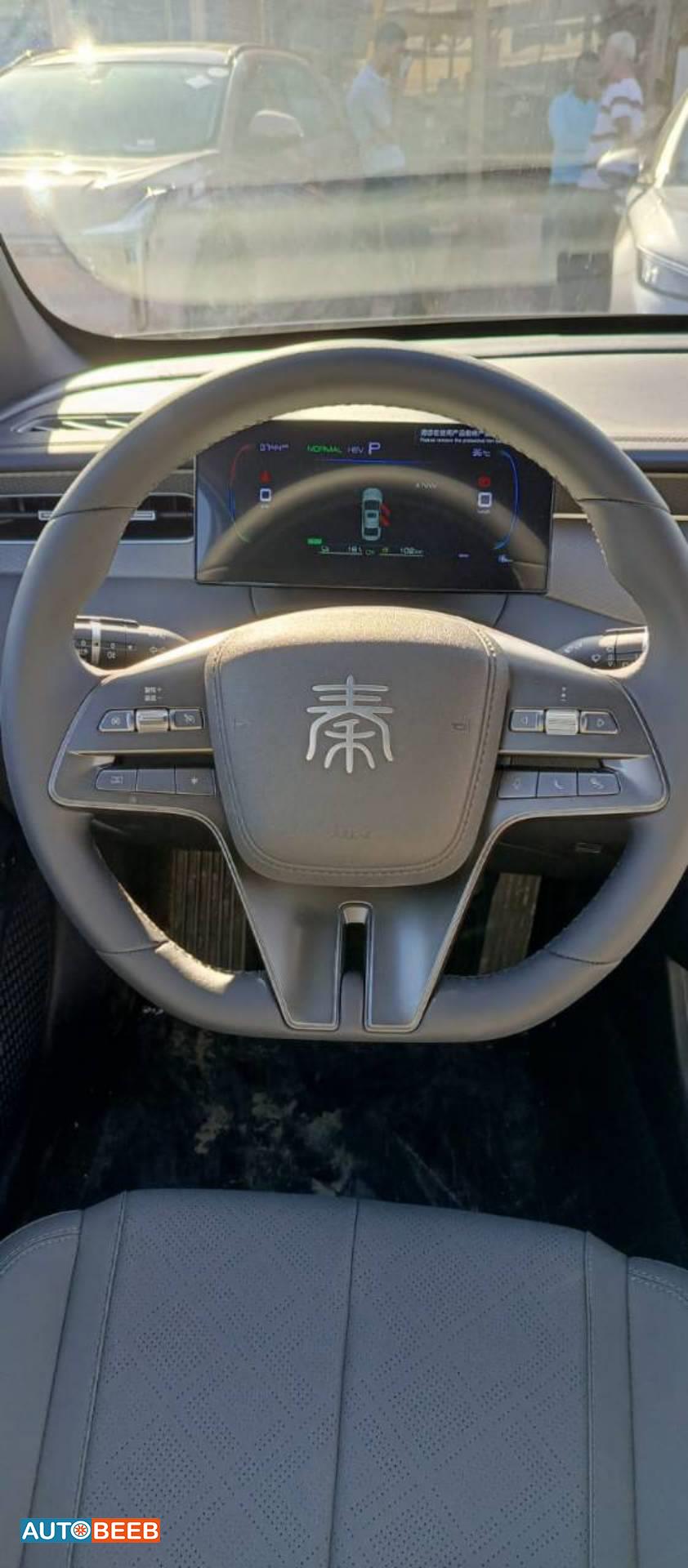 بي واي دي كين 2025