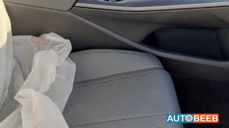 بي واي دي كين 2025