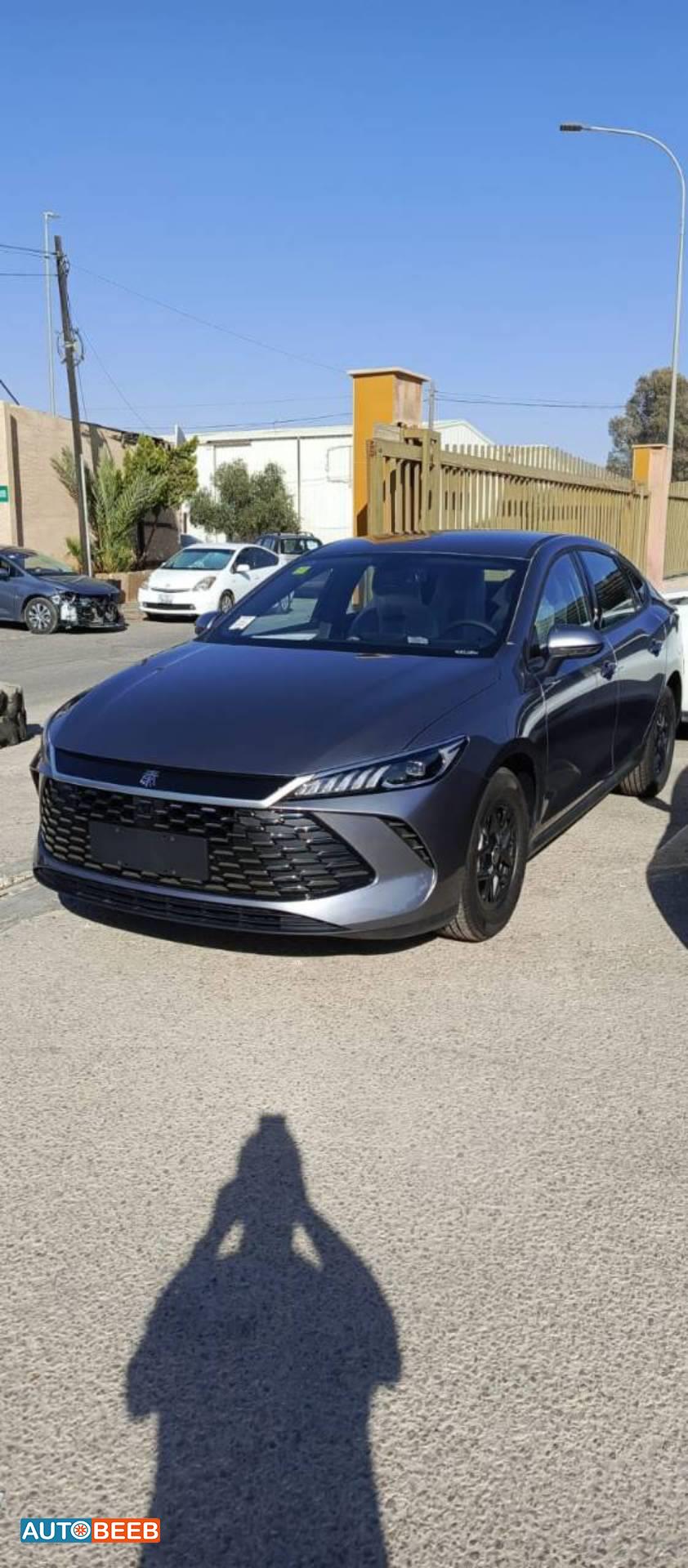 بي واي دي كين 2025