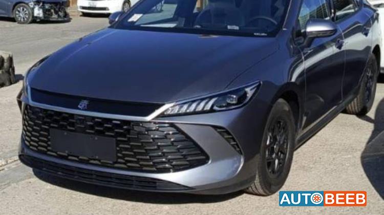 بي واي دي كين 2025