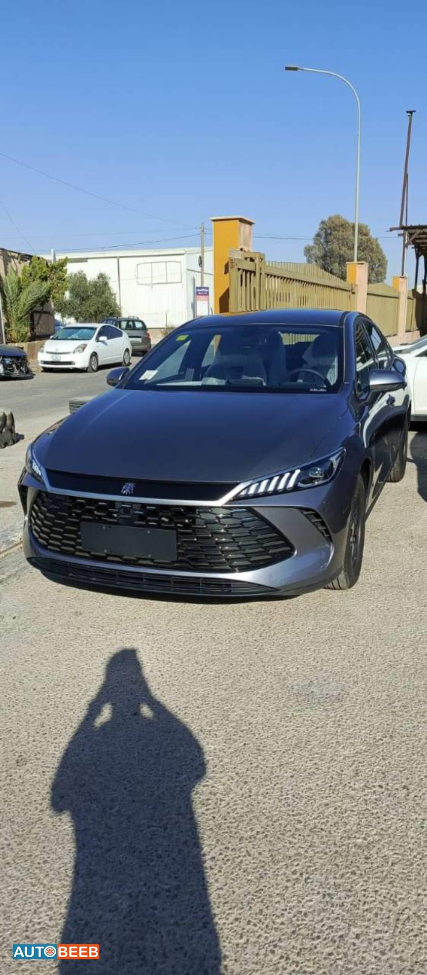 بي واي دي كين 2025