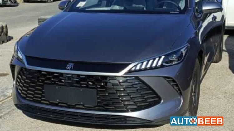 بي واي دي كين 2025