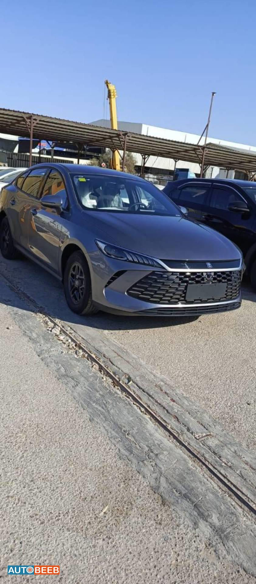 بي واي دي كين 2025