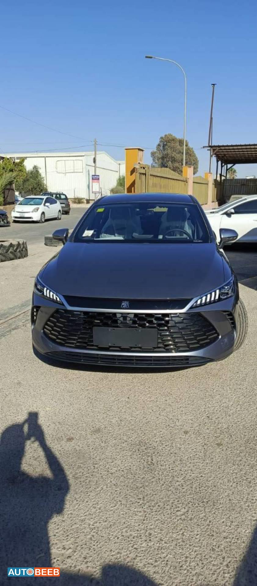 بي واي دي كين 2025