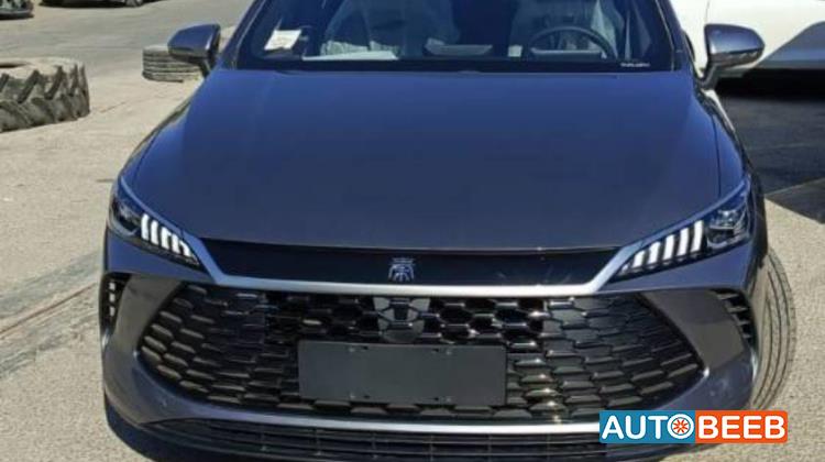 بي واي دي كين 2025