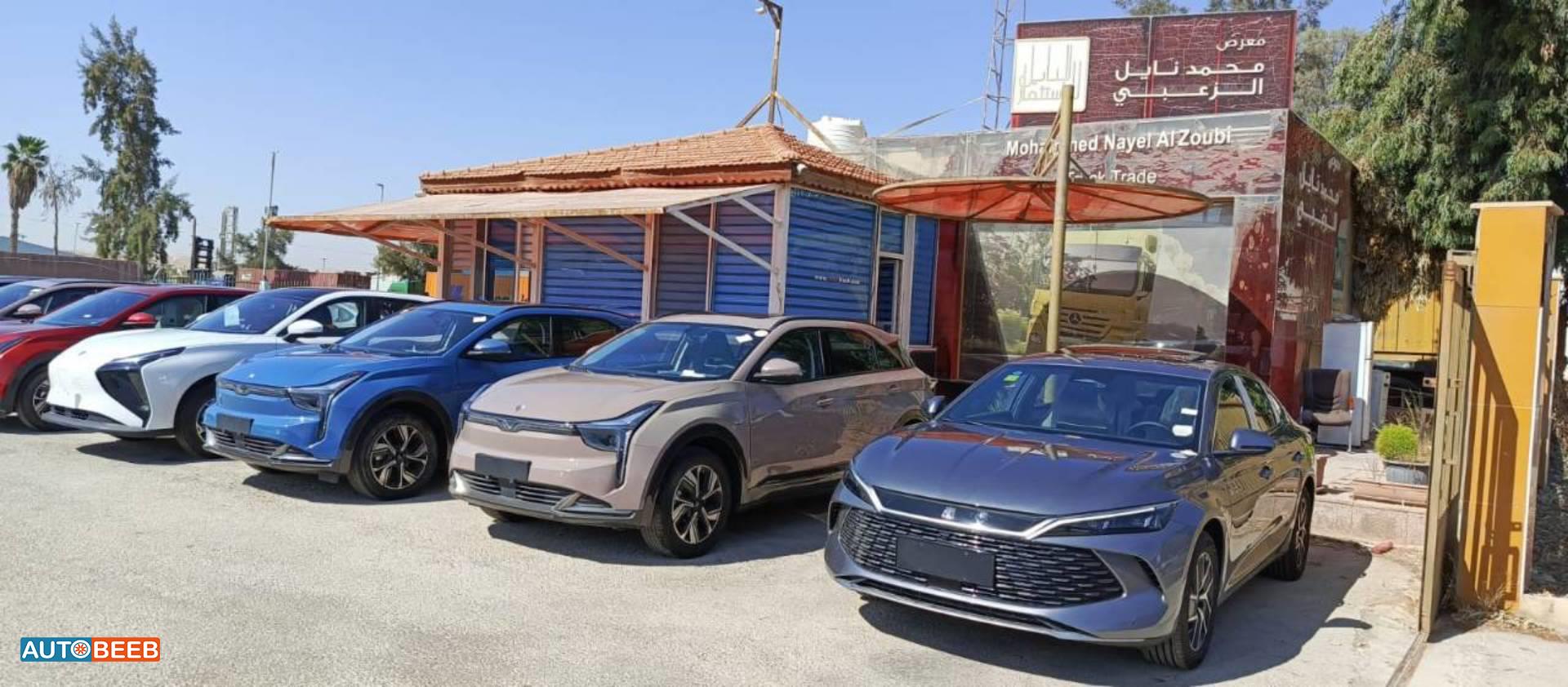 بي واي دي كين 2024