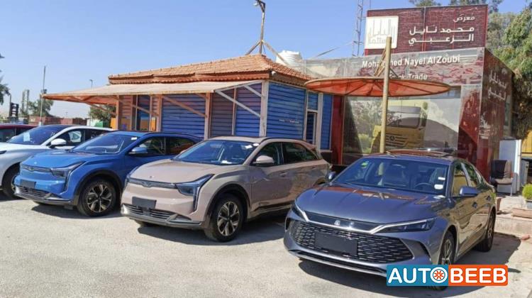 بي واي دي كين 2024