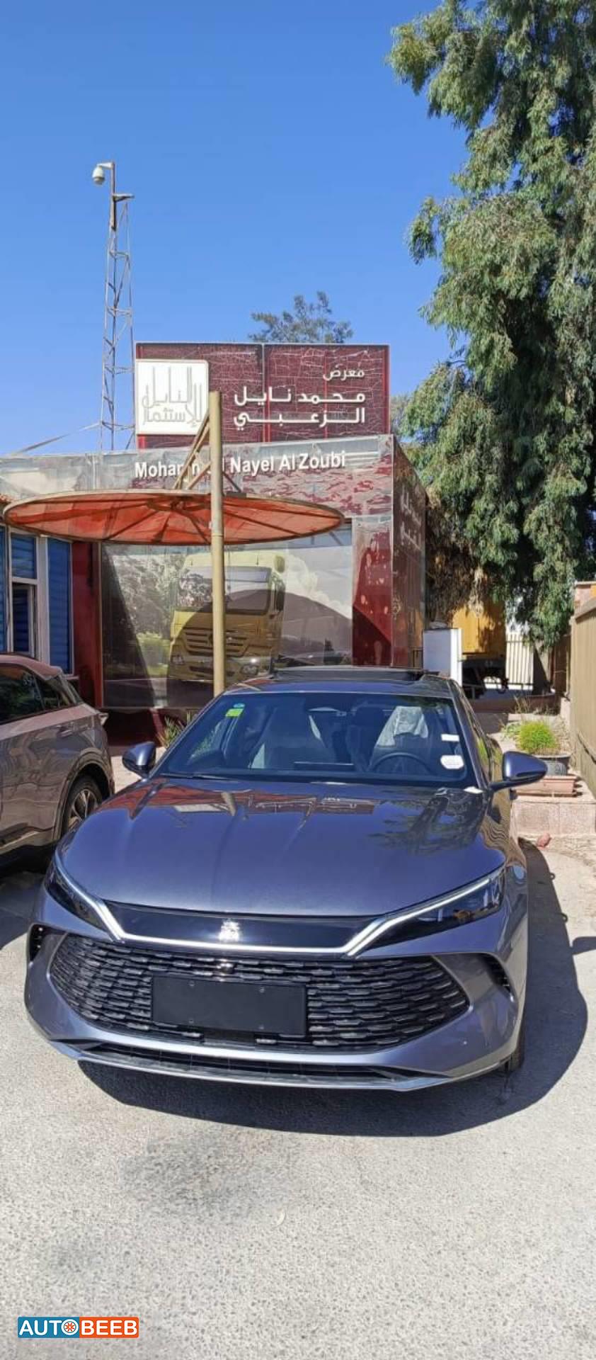 بي واي دي كين 2024