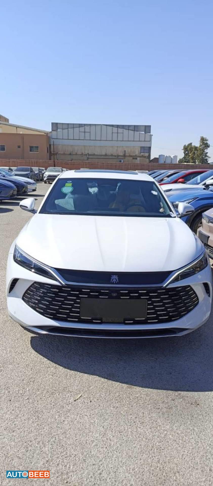 بي واي دي كين 2024