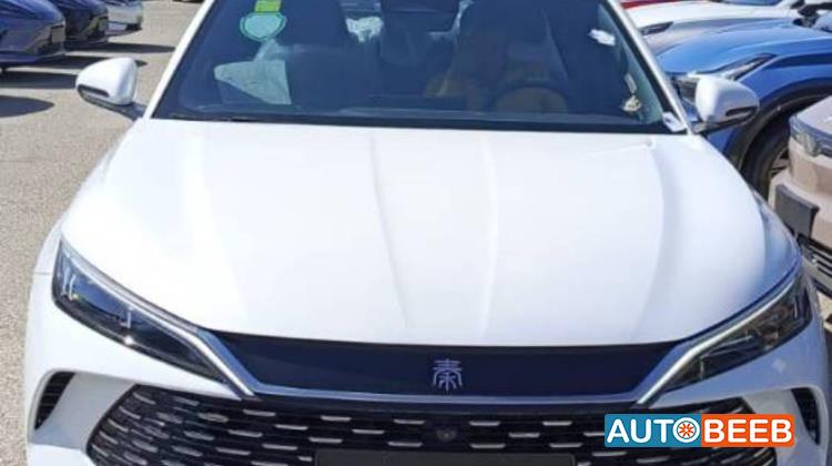 بي واي دي كين 2024