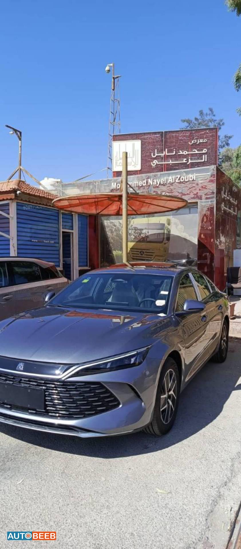 بي واي دي كين 2024