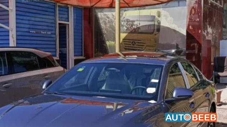 بي واي دي كين 2024