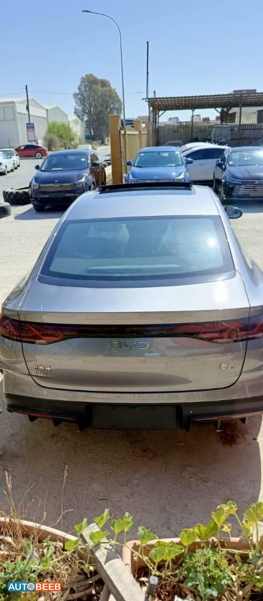 بي واي دي كين 2024