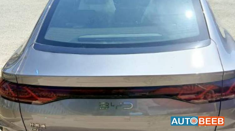 بي واي دي كين 2024