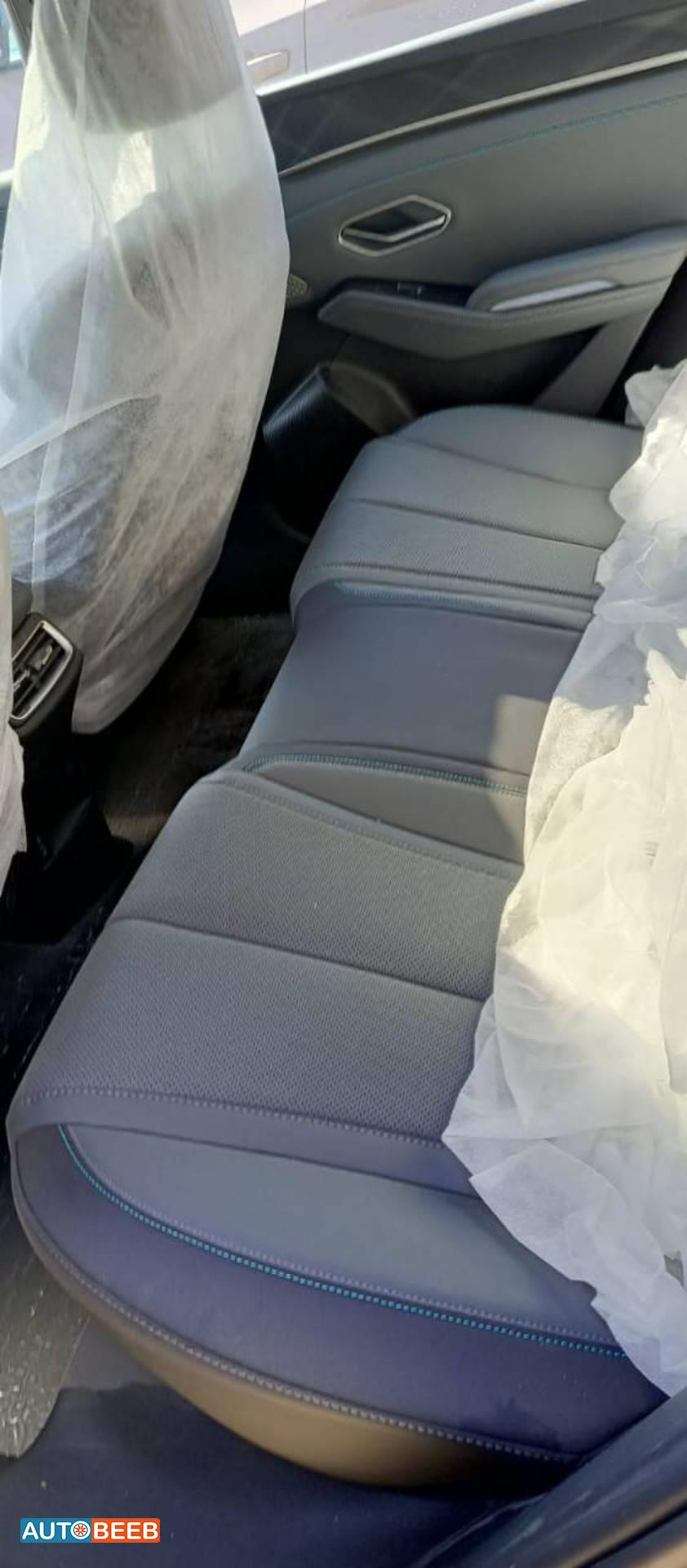 بي واي دي كين 2024