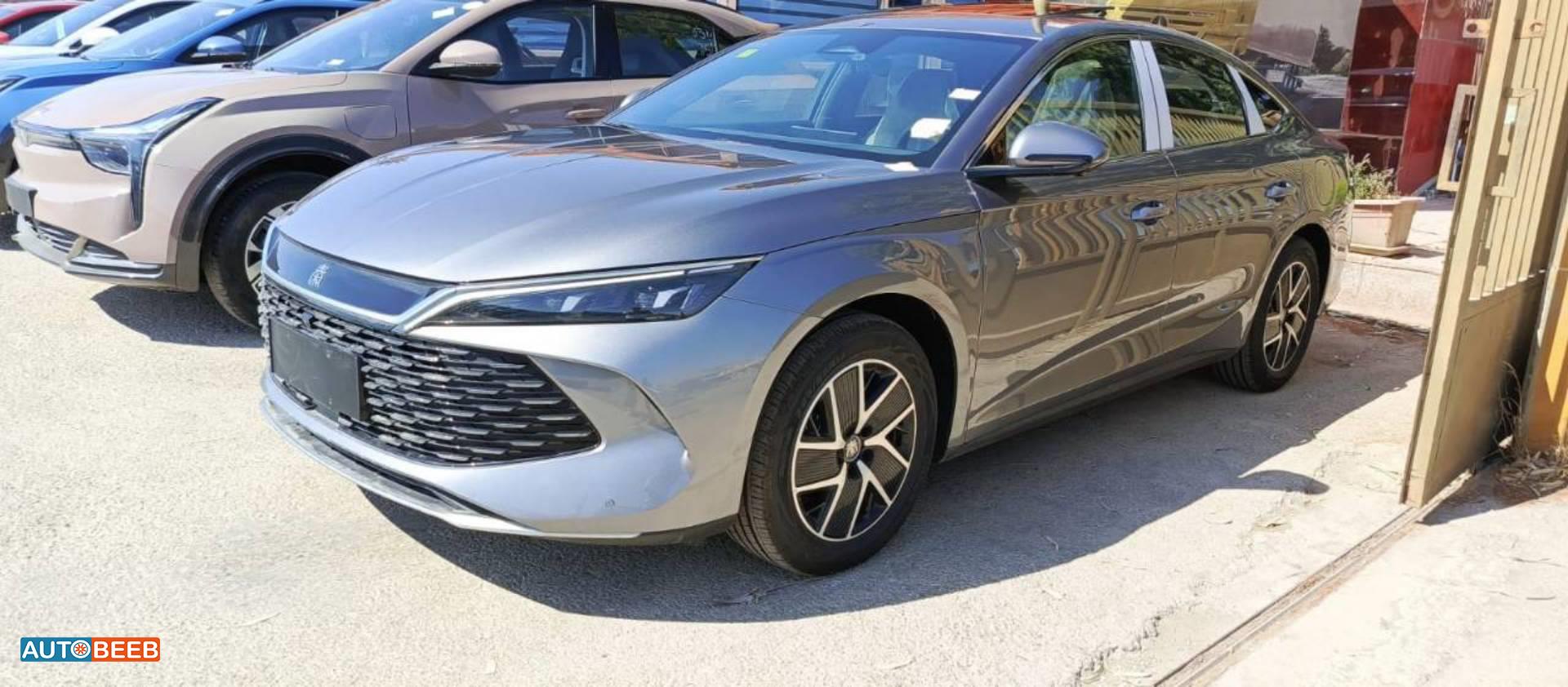 بي واي دي كين 2024