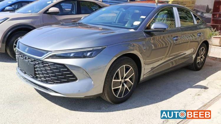 بي واي دي كين 2024