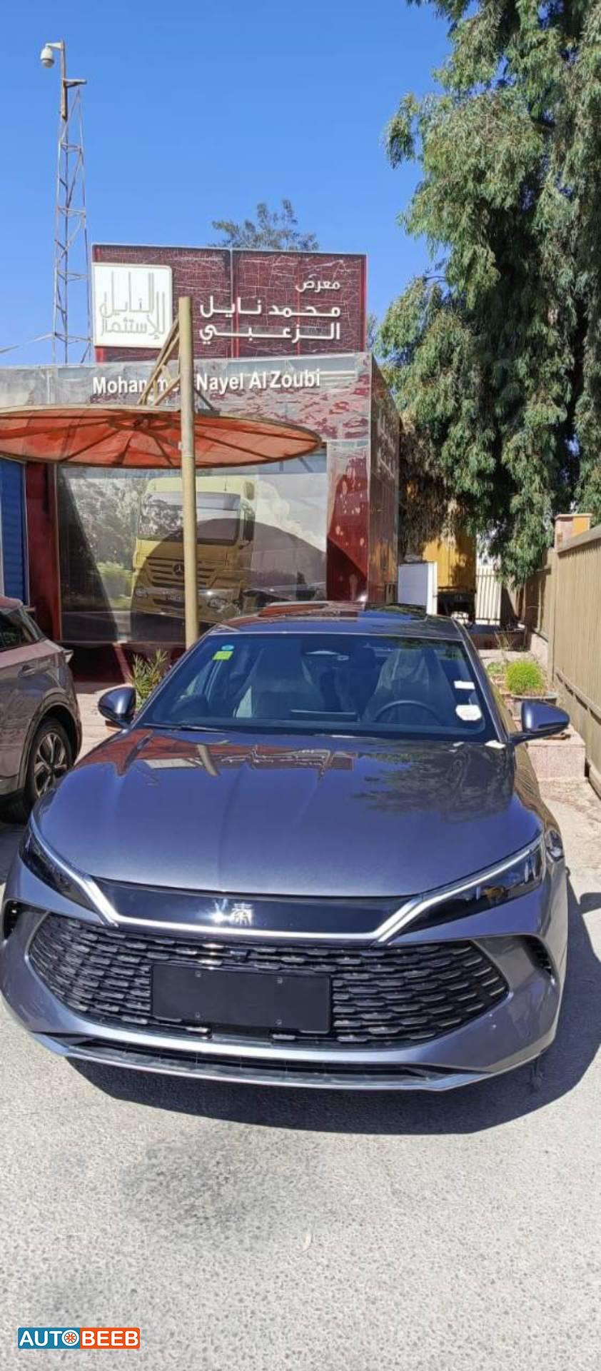 بي واي دي كين 2024