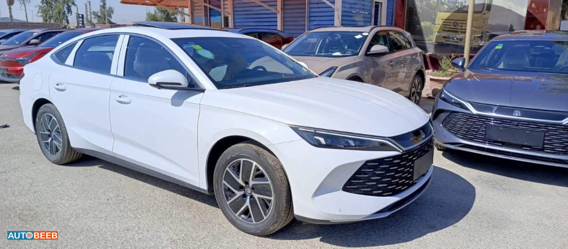 بي واي دي كين 2024