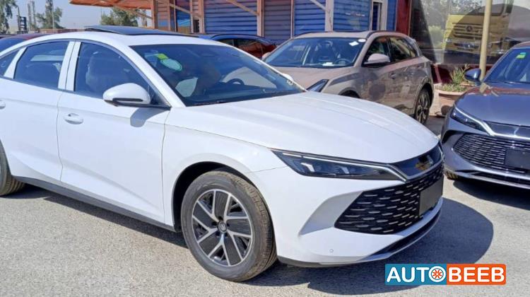 بي واي دي كين 2024