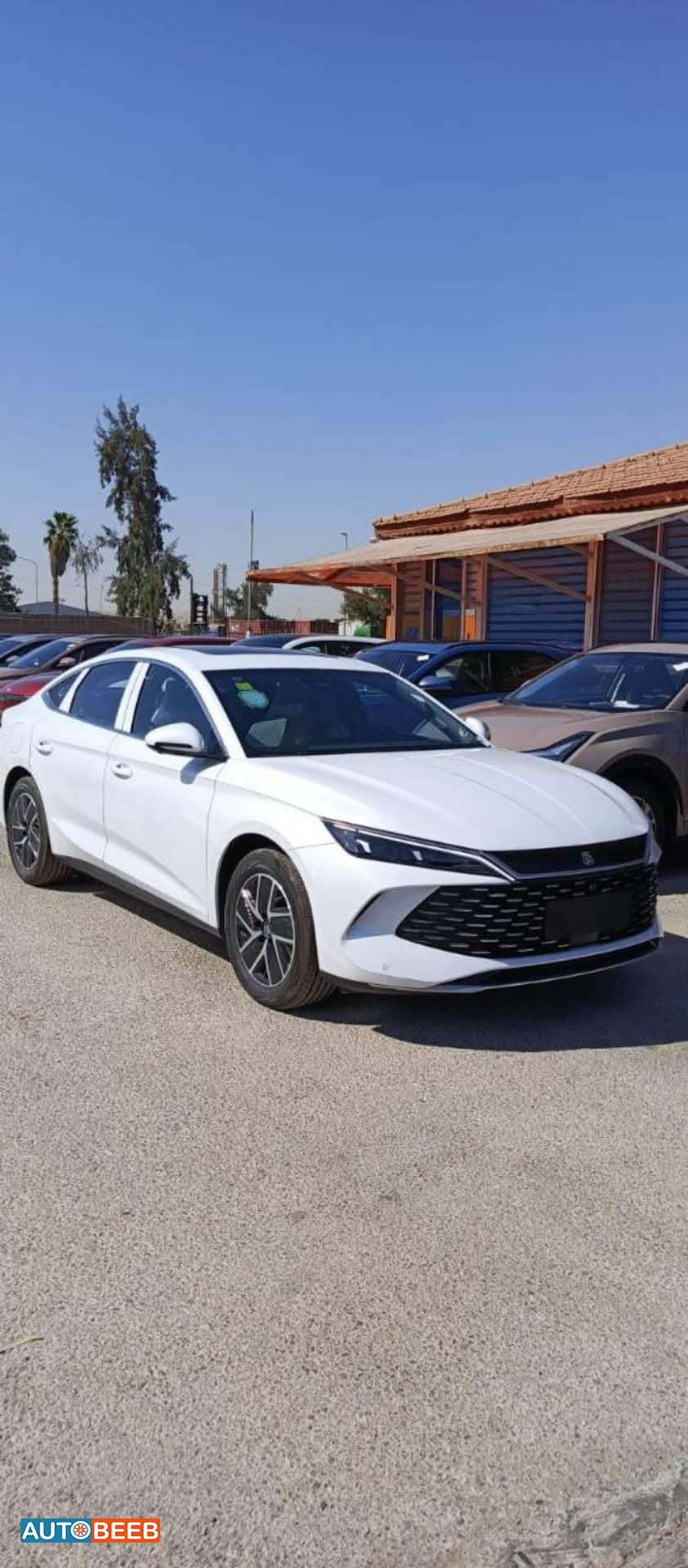 بي واي دي كين 2024