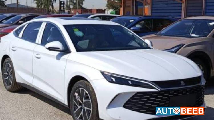 بي واي دي كين 2024