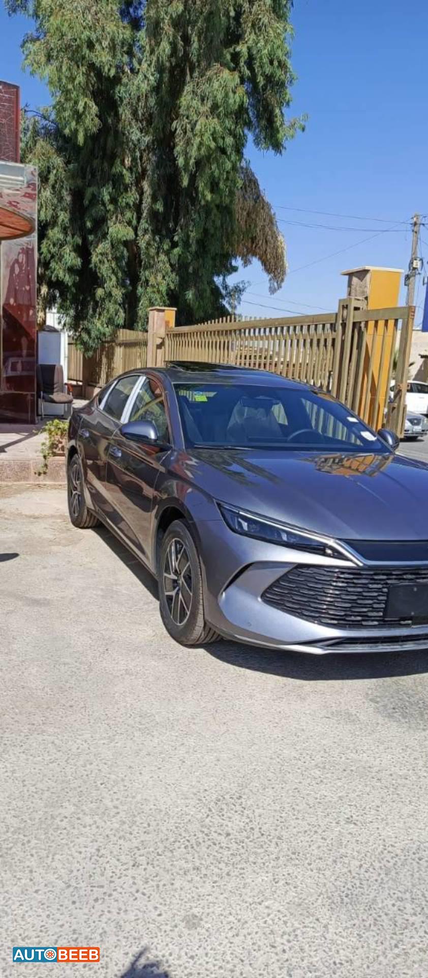 بي واي دي كين 2024