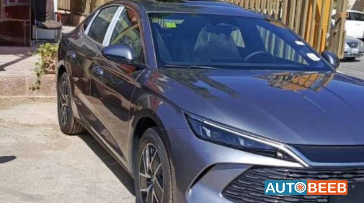 بي واي دي كين 2024