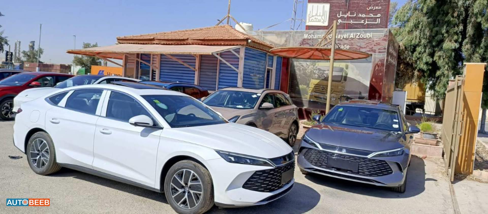 بي واي دي كين 2024