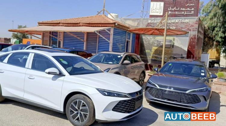 بي واي دي كين 2024