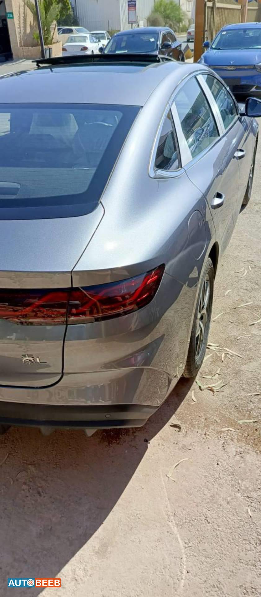 بي واي دي كين 2024