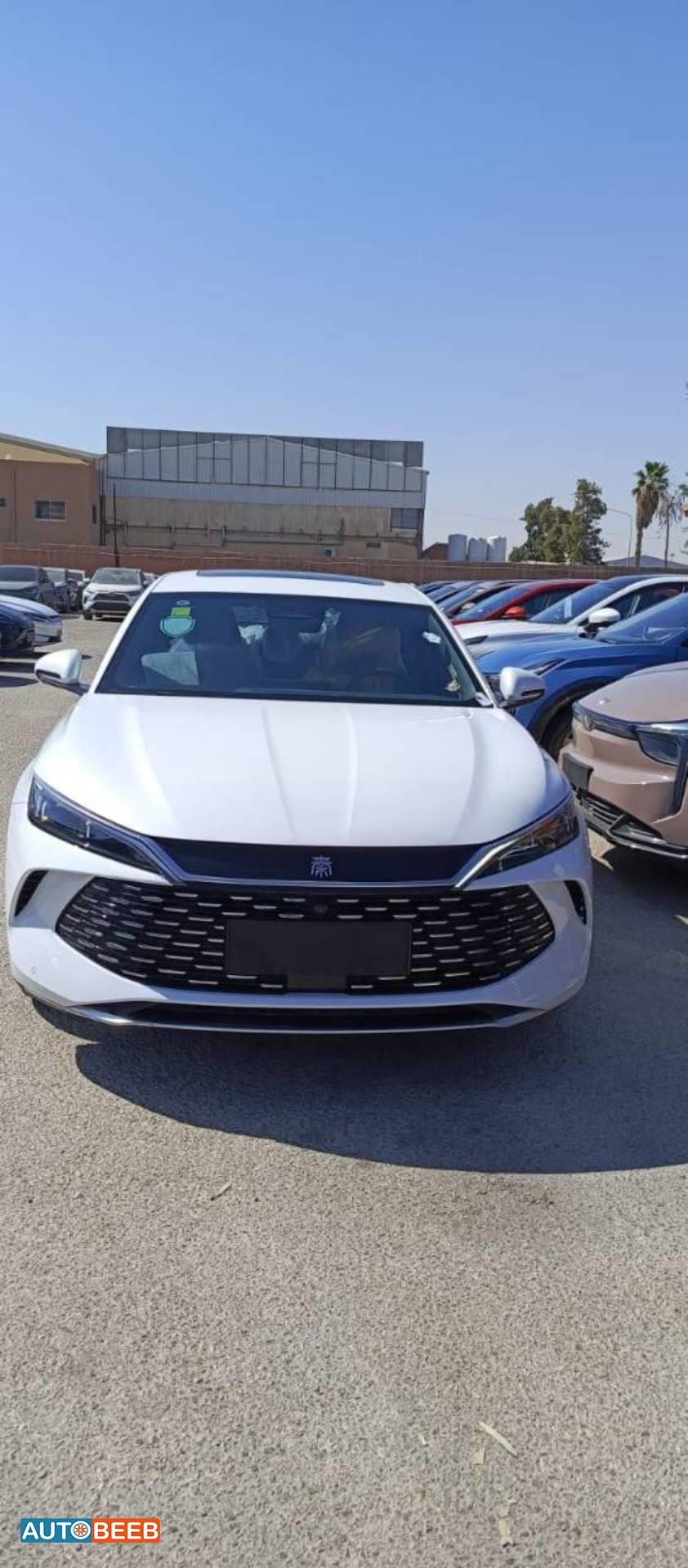 بي واي دي كين 2024