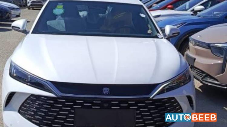 بي واي دي كين 2024