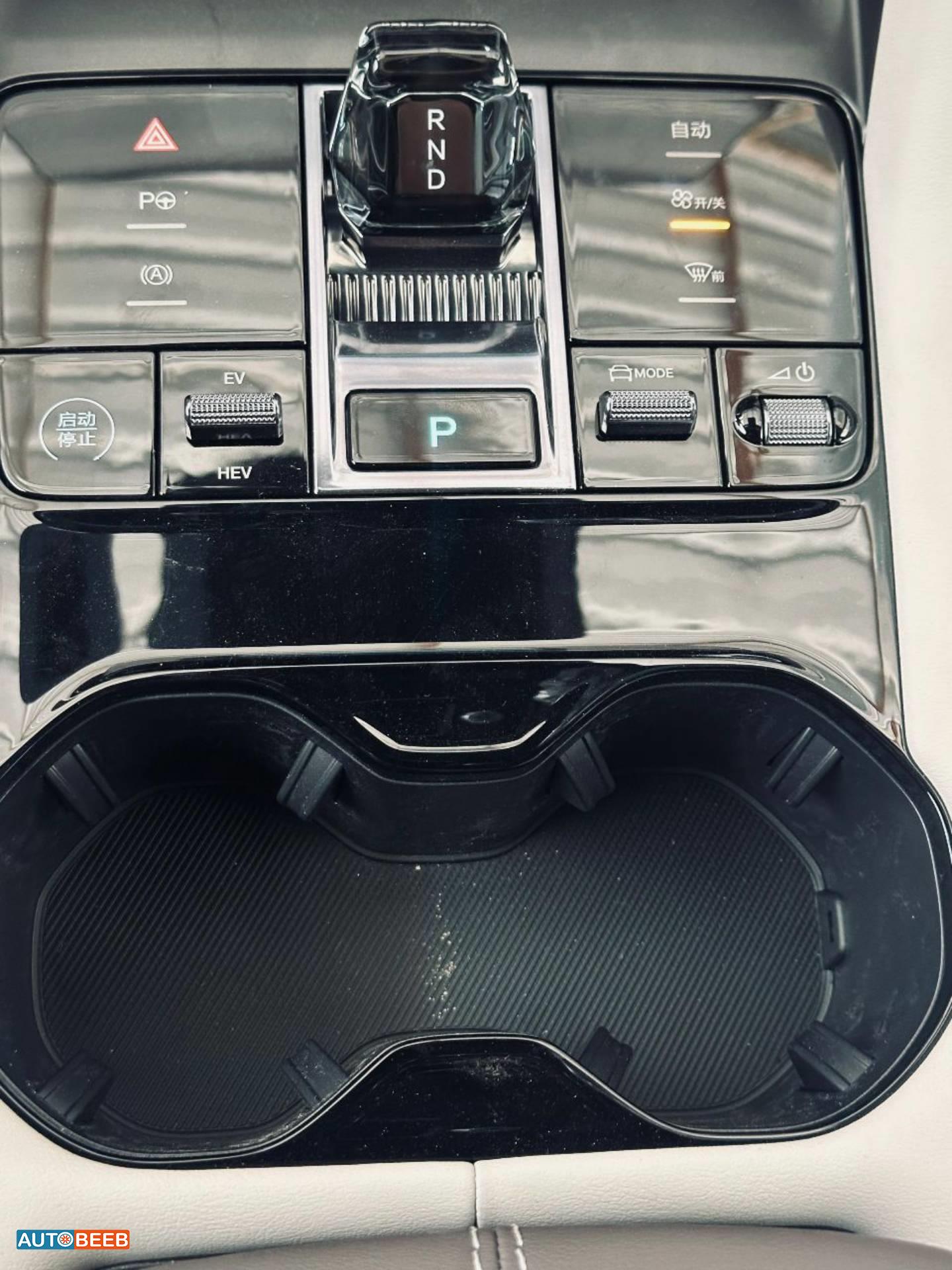 بي واي دي سونج بلس 2025