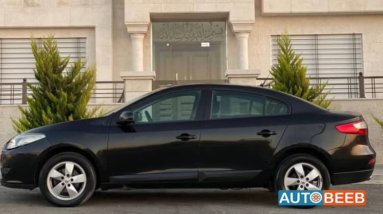 رينو فلوينس 2013