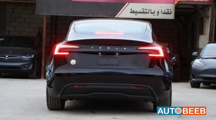 Tesla 3 2024