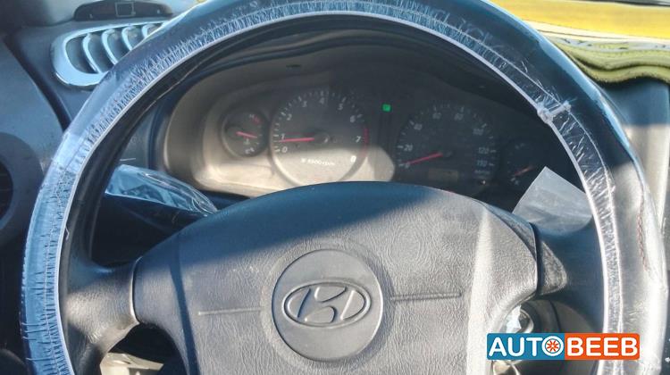 Hyundai Grand Santa Fe 2002