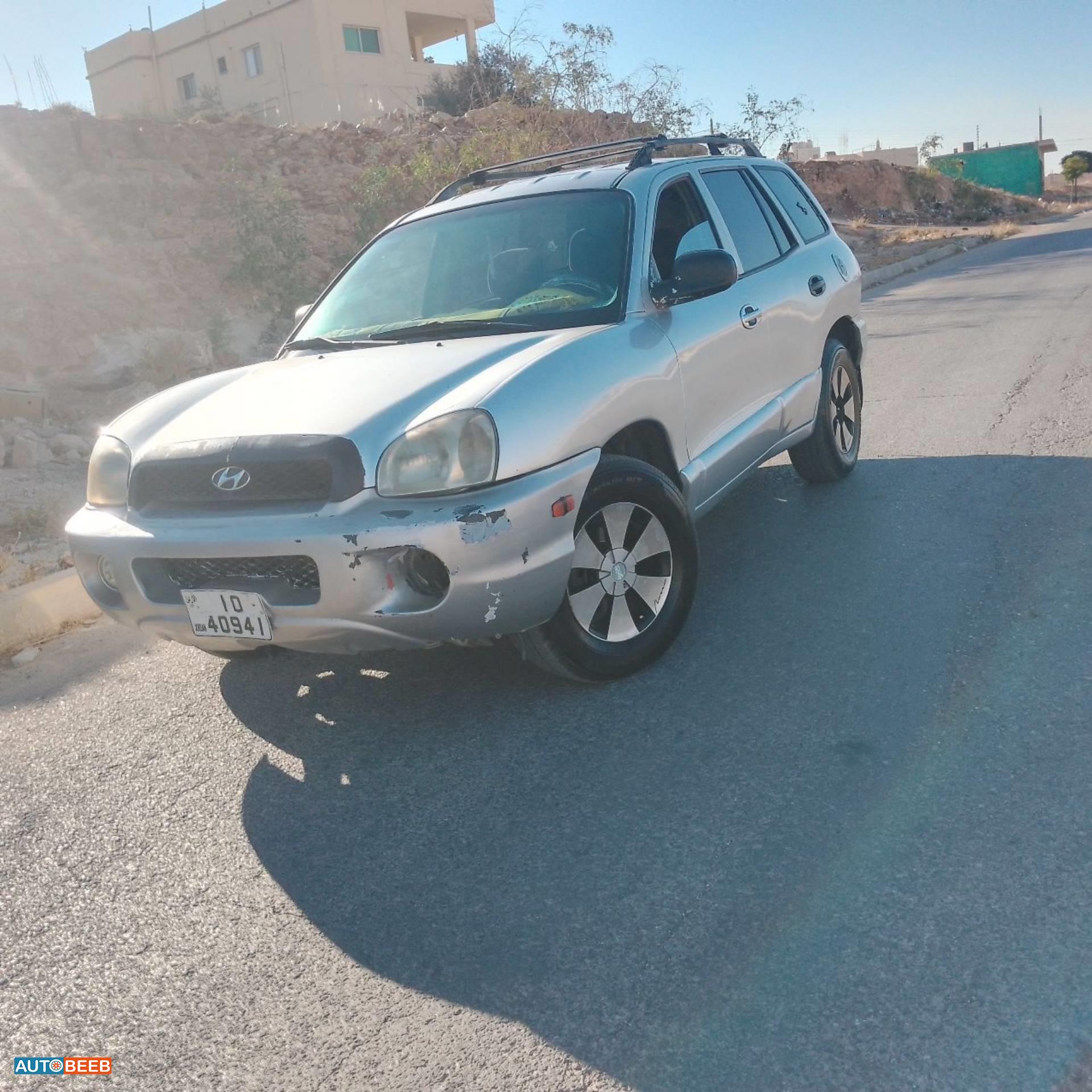 Hyundai Grand Santa Fe 2002