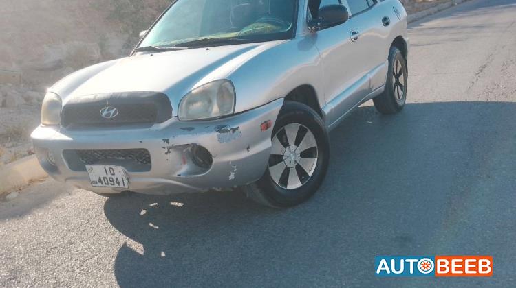 Hyundai Grand Santa Fe 2002