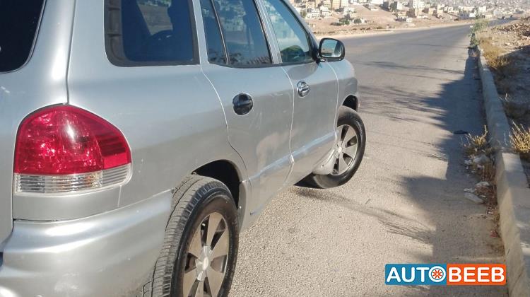Hyundai Grand Santa Fe 2002