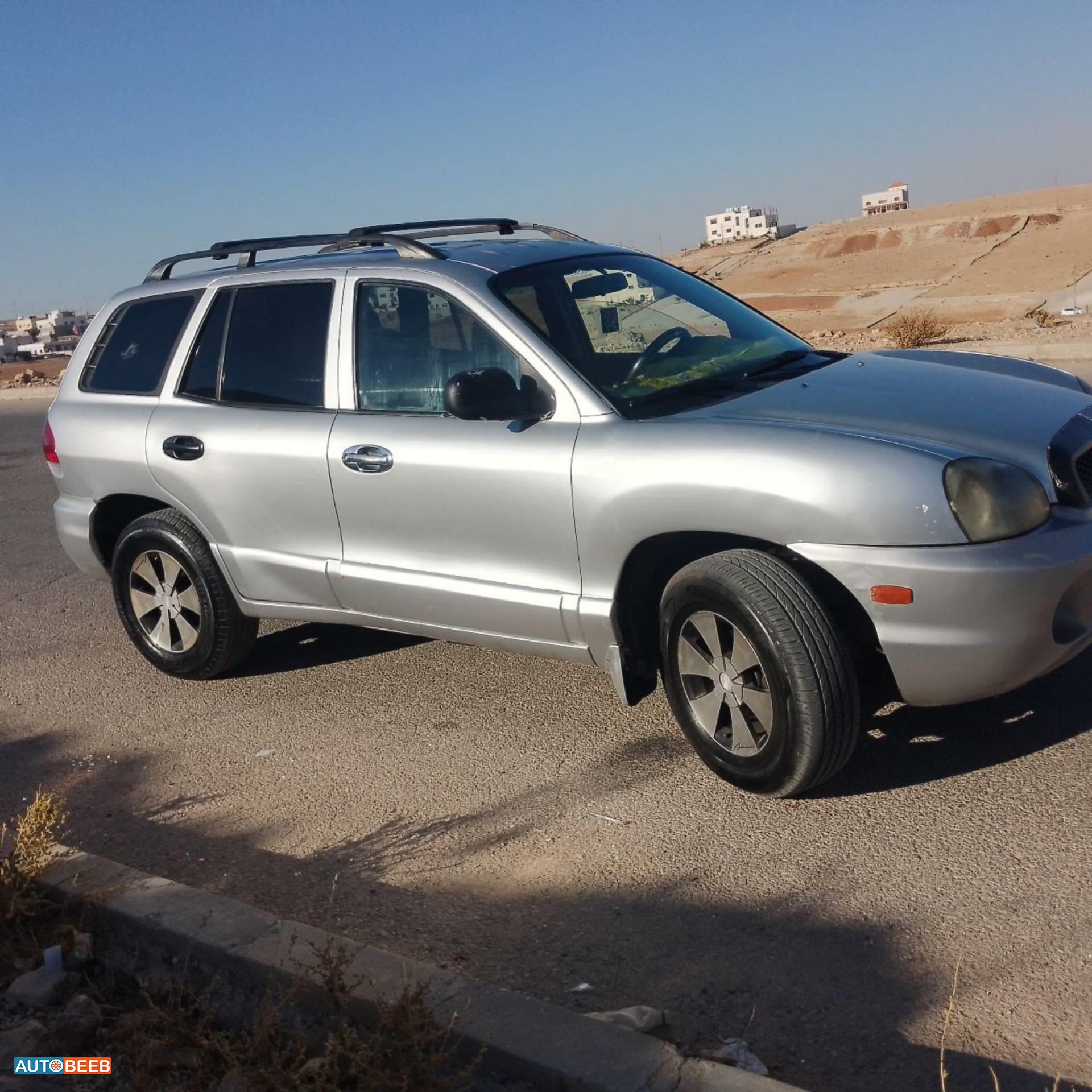 Hyundai Grand Santa Fe 2002