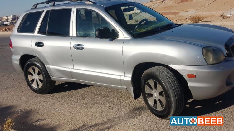 Hyundai Grand Santa Fe 2002
