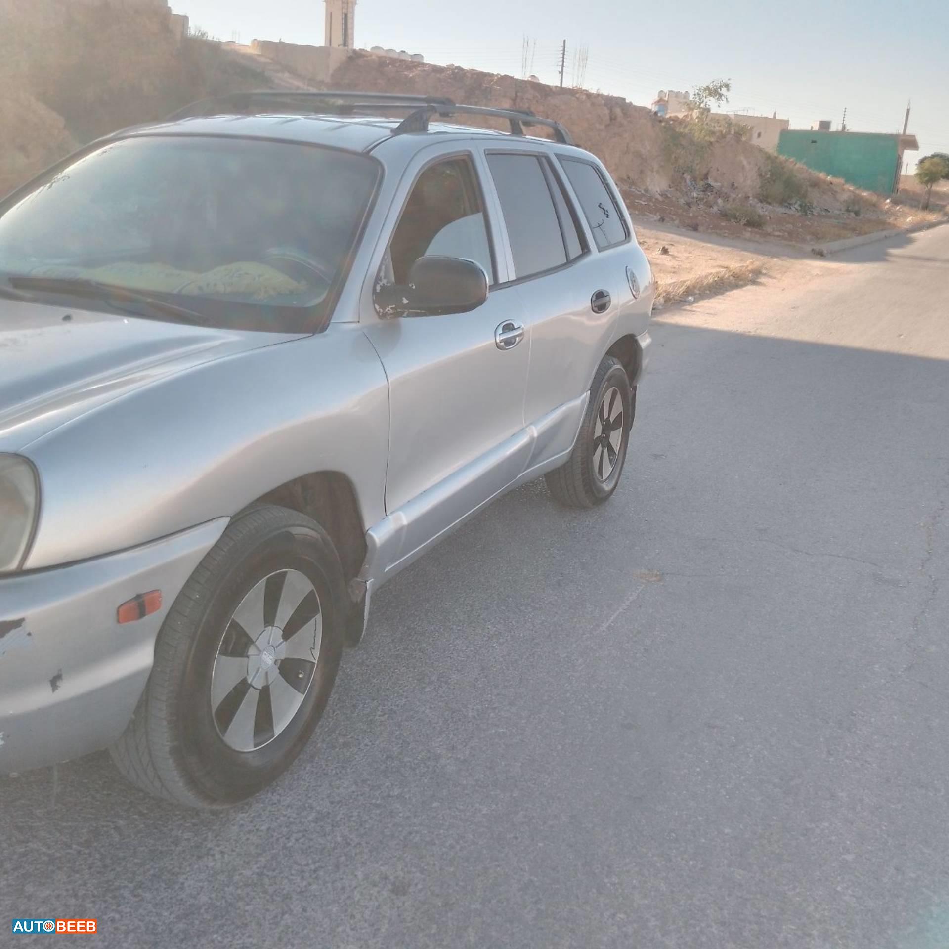 Hyundai Grand Santa Fe 2002