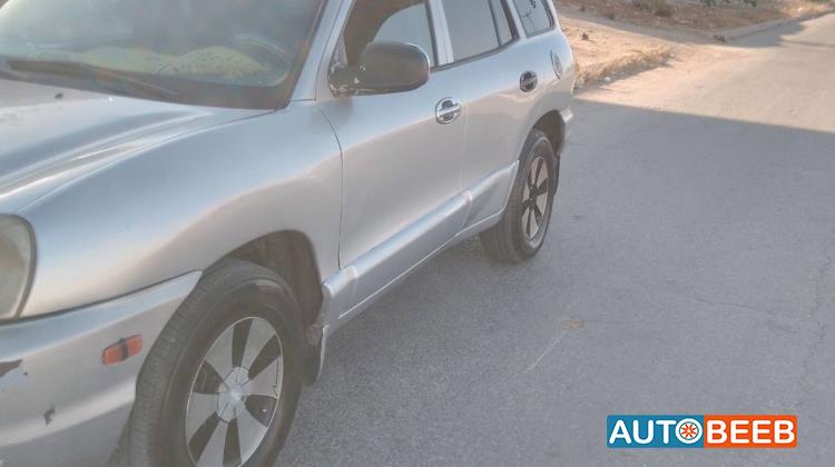 Hyundai Grand Santa Fe 2002