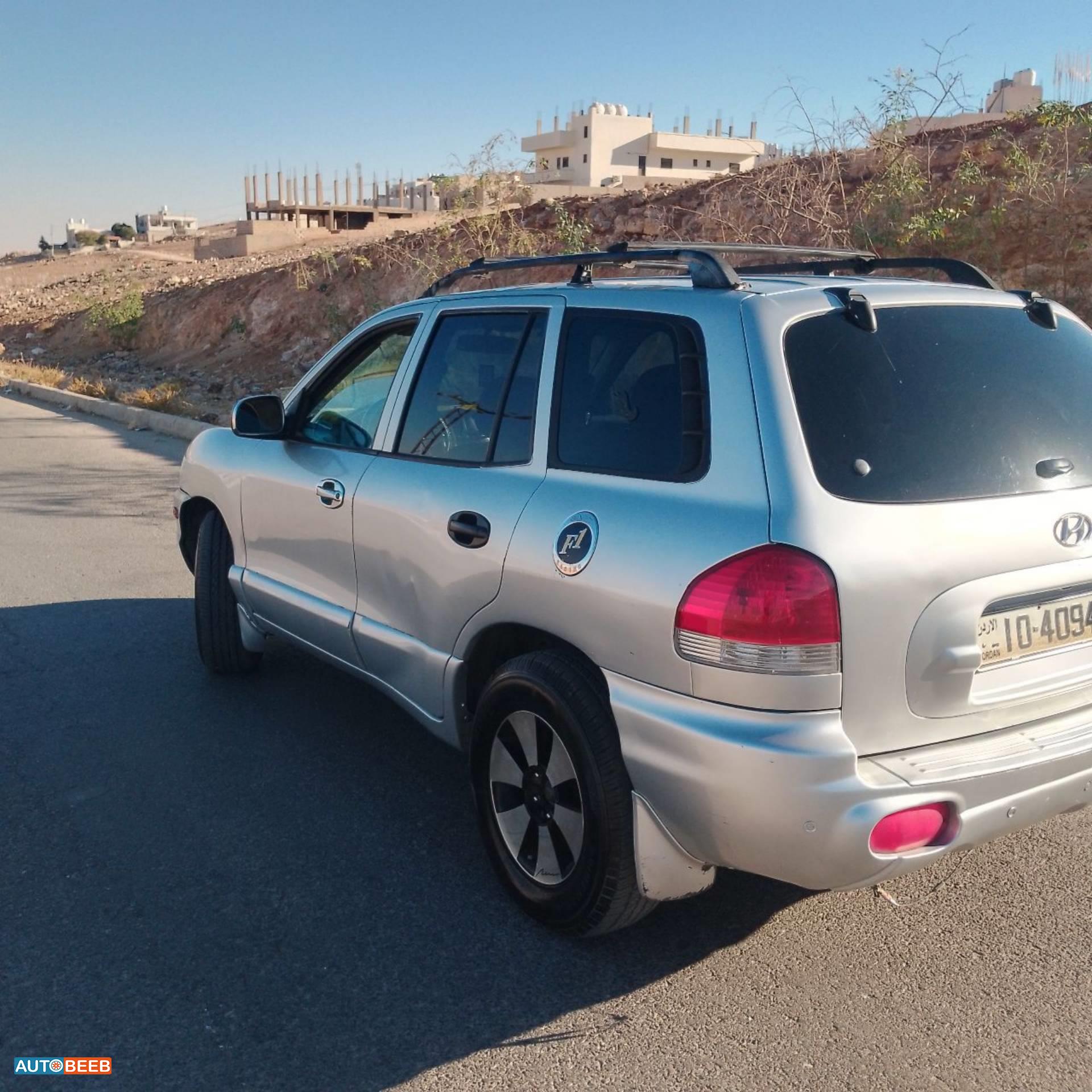 Hyundai Grand Santa Fe 2002