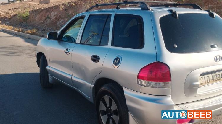 Hyundai Grand Santa Fe 2002