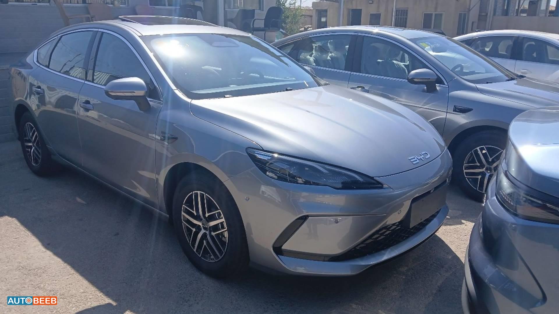 بي واي دي  2025