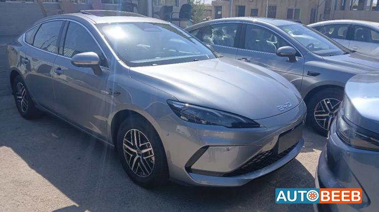 بي واي دي  2025