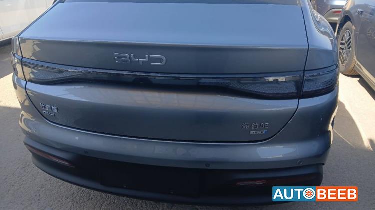 بي واي دي  2025