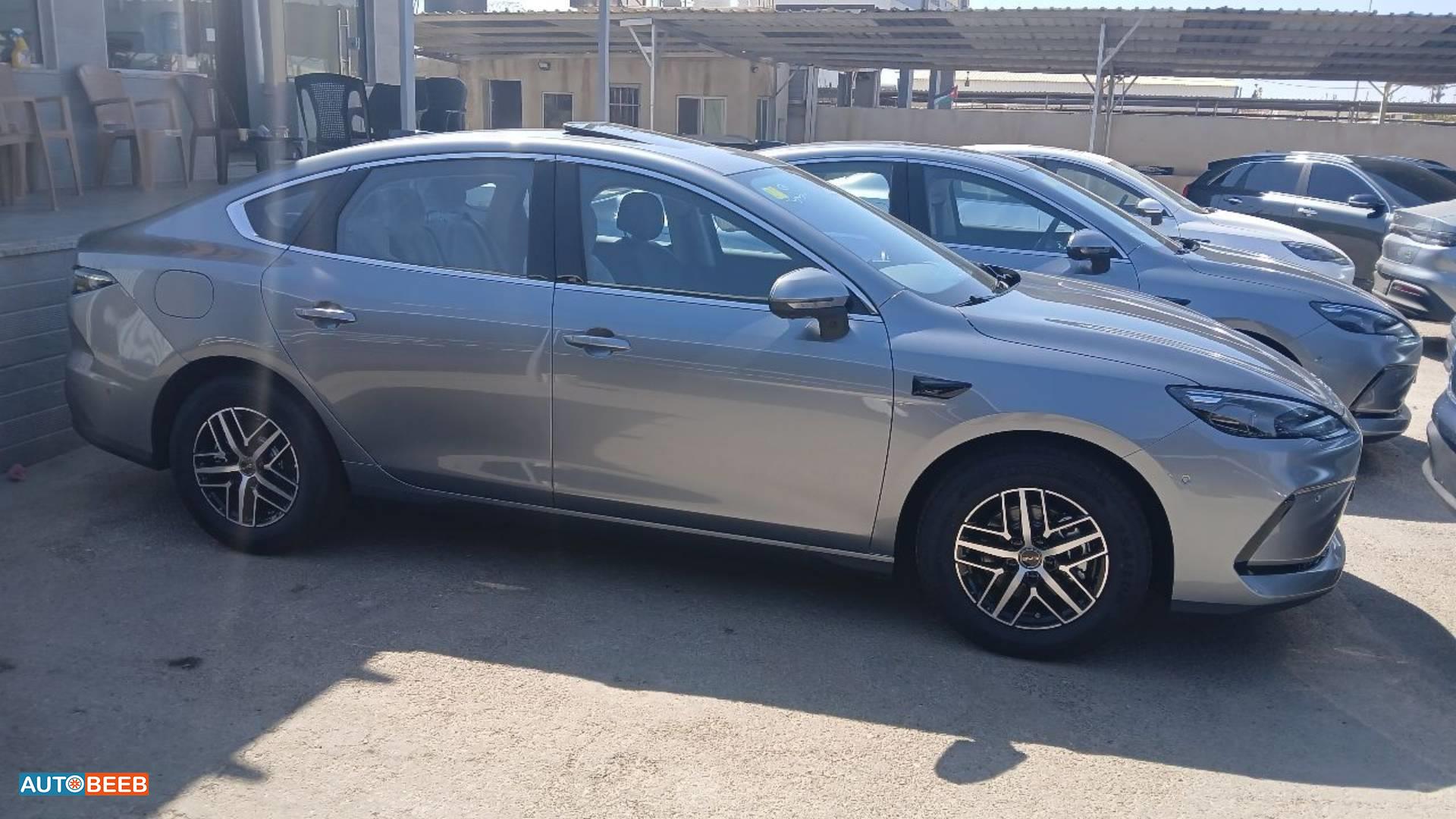 بي واي دي  2025